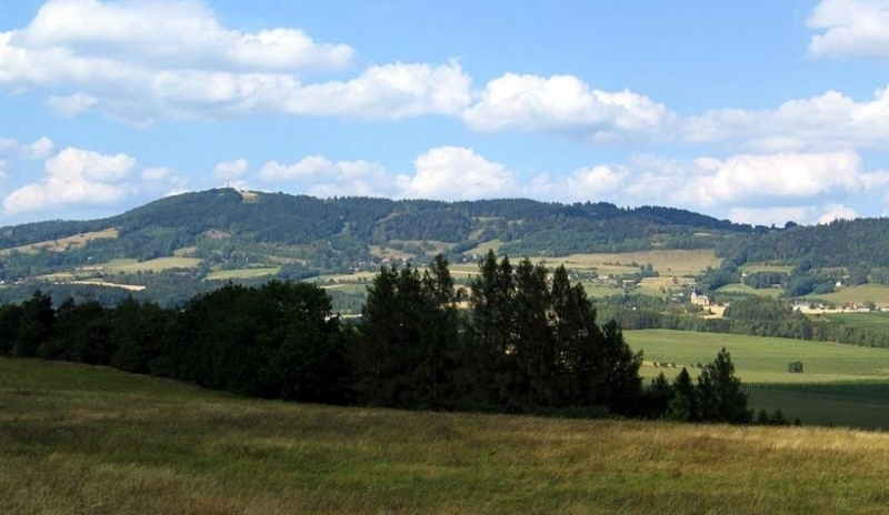 Pohled na malý les u louky 