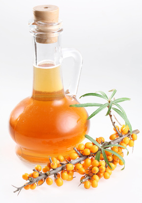 oilwise.com oilwise.com
