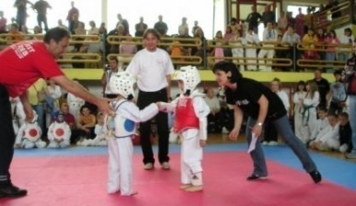 Zápas taekwonda v dětské kategorii v pozadí s diváky