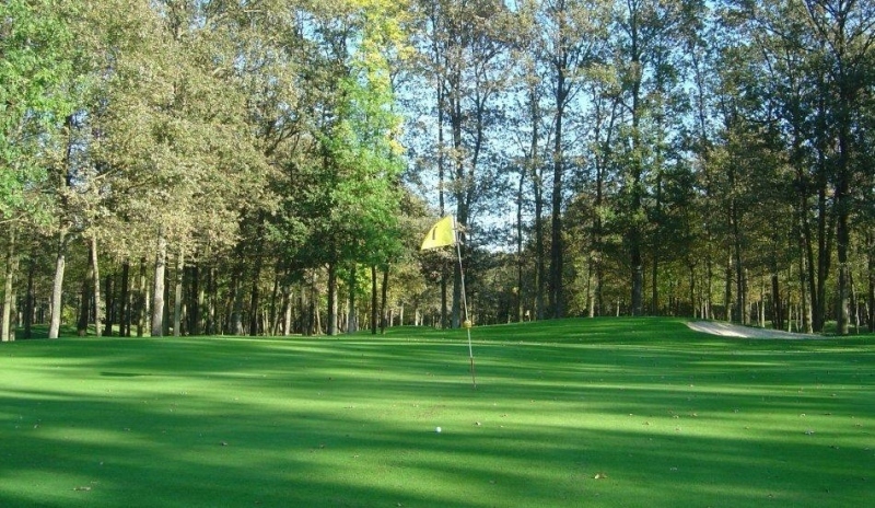 Golfové hřiště mezi stromy 