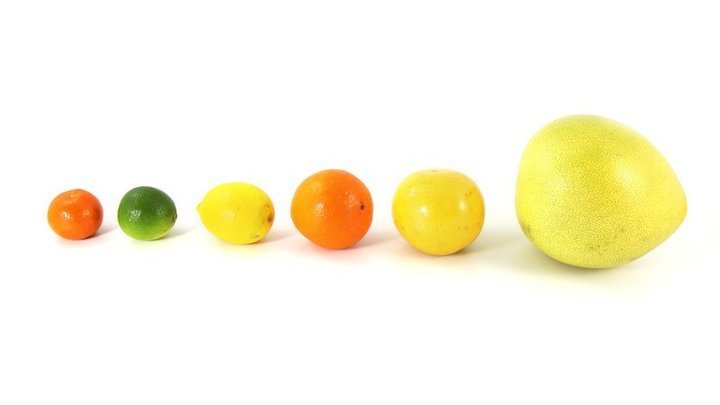 Pomelo je králem citrusů